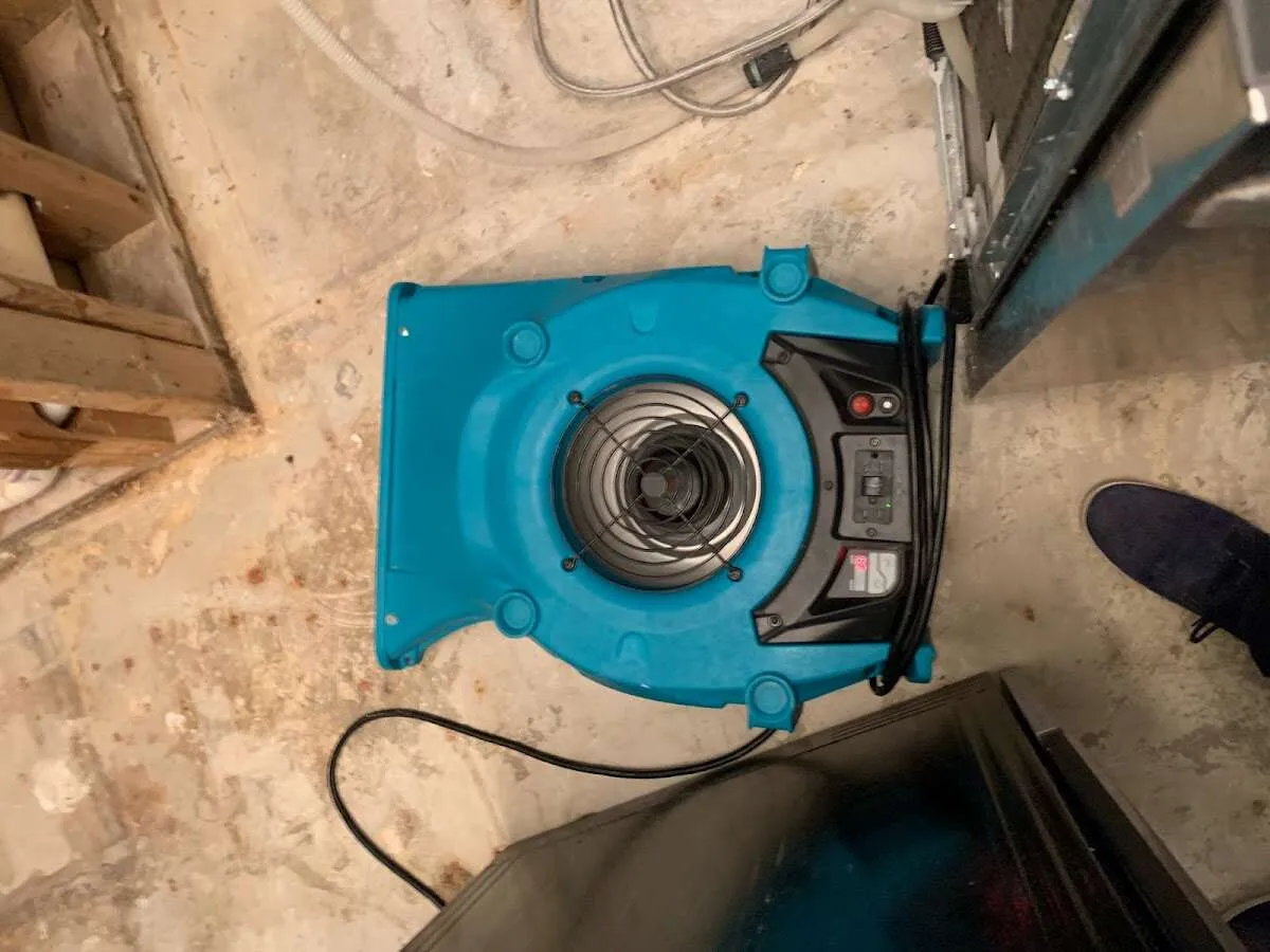 Air mover drying equipment for Mold Remediation & Removal in Bel Air South